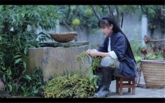 或许，你并没看懂“李子柒”