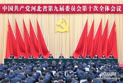 高质量完成省委九届十次全会确定的各项任务